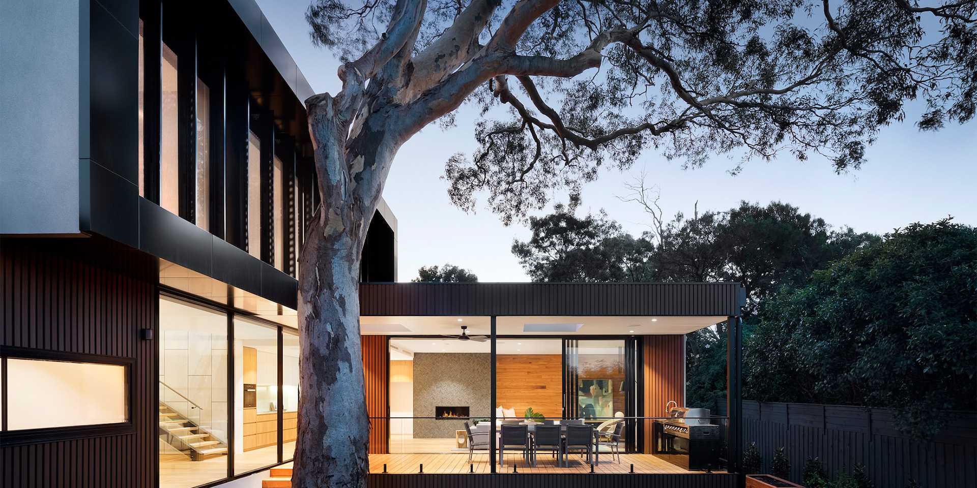 Contemporary residence built around a mature tree